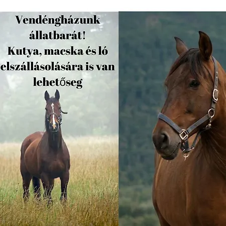 Horvath Vendeghaz Gasthuis Baktaloranthaza